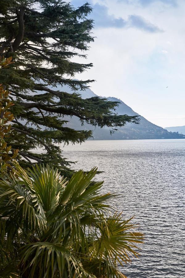 Villa Làrio Lake Como Pognana Lario Esterno foto
